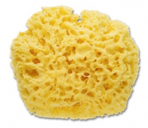 Corefar Esponja natural marina Mamy Cocoton