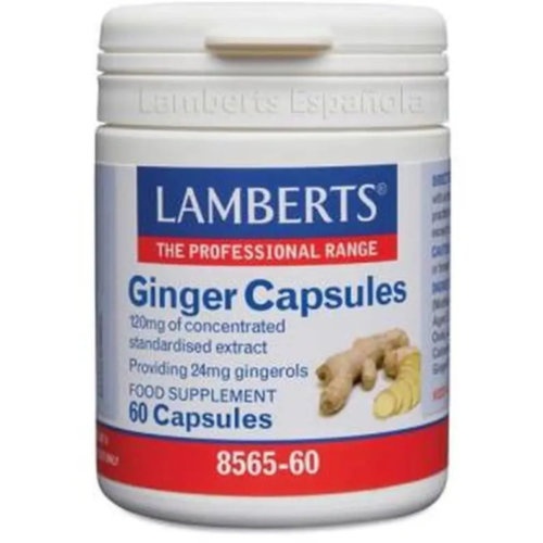 Ginger jengibre 60 càpsulas