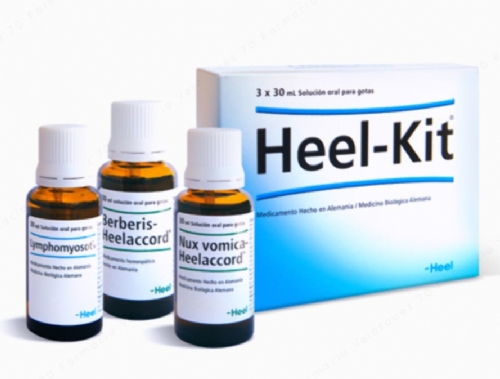 Terapia detoxific heel 3x30 ml