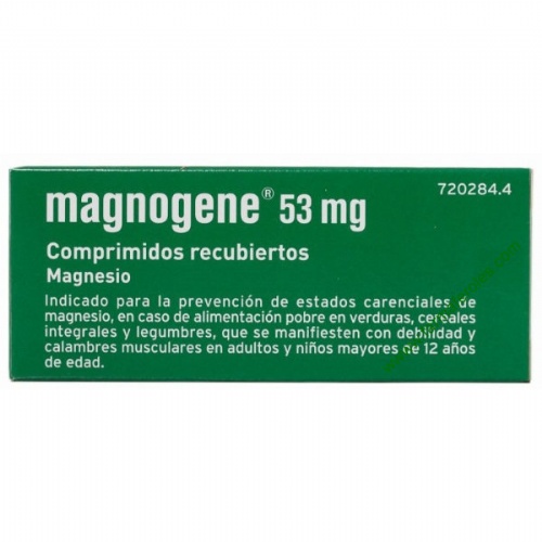 MAGNOGENE 53 mg COMPRIMIDOS RECUBIERTOS, 45 comprimidos