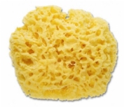 Corefar Esponja natural marina Mamy Cocoton