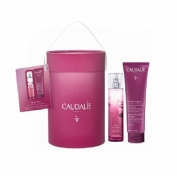 Caudalie cofrecito the des vignes 100ml