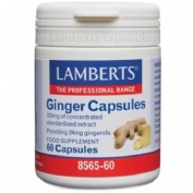 Ginger jengibre 60 càpsulas