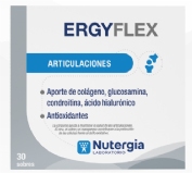 Ergyflex Articulaciones 30 sobres